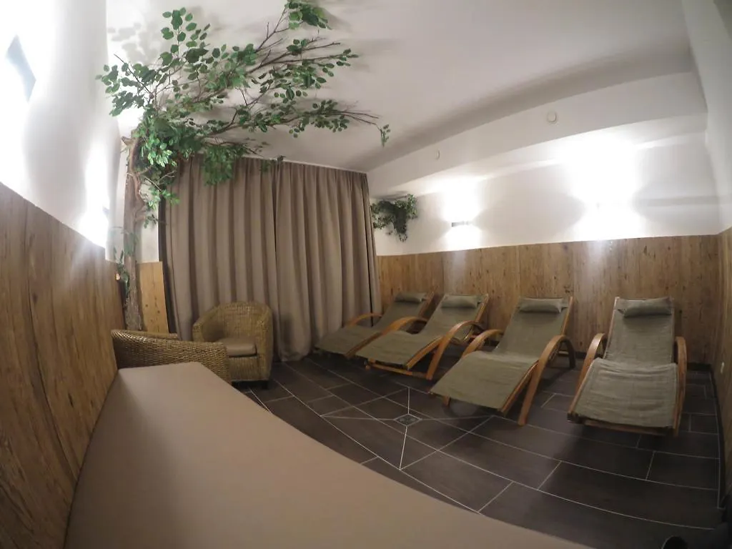 Hotel Garni Litzner Ischgl 3*,
